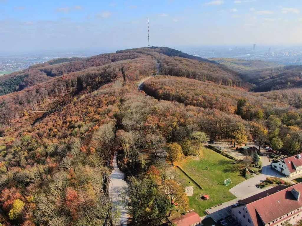 Aschenverstreuung im Wald